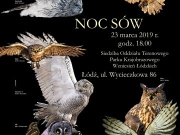Zaproszenie na Noc Sów 2019 w Parku Krajobrazowym Wzniesień Łódzkich, 